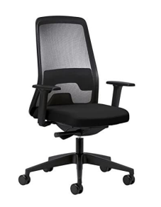 Standard Muebles Cook Ergonomic Task Chair