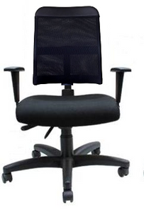 Standard Inter Offices Ergonomic Task Chair