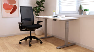 Coze/Coordinate Electric Height Adjustable Desk